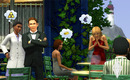 Sims31