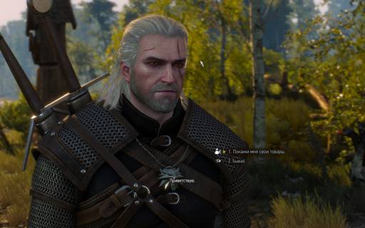 The Witcher 3: Wild Hunt - CD Projekt - Мы действительно упростили графику в РС версии Ведьмак 3, но это было необходимое решение.